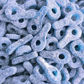 Tétine Citrique Bleue - Sucette acidulée framboise colore langue