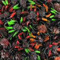 Tarentule  lisse Trolli Araignée gélifiée fruité