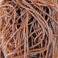 Lasso cola - Bonbon gélifié lot de 10