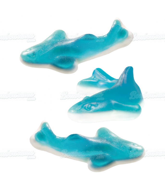 Requin Bleu - Bonbon gélifié forme requin